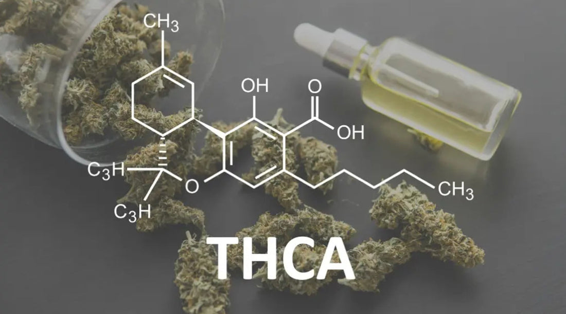 what is THCA