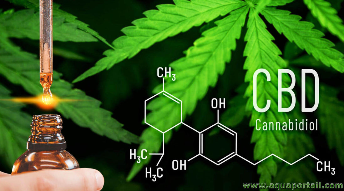 Cannabidiol (CBD)