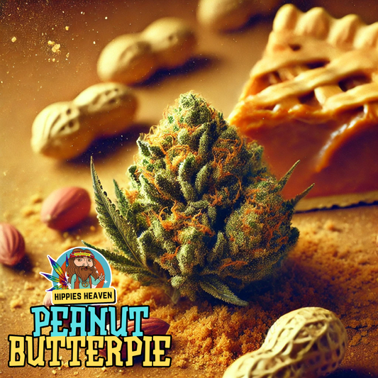 511 Peanut Butter Pie THCA Flower