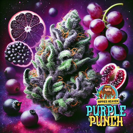 Purple Punch THCA Flower 7g